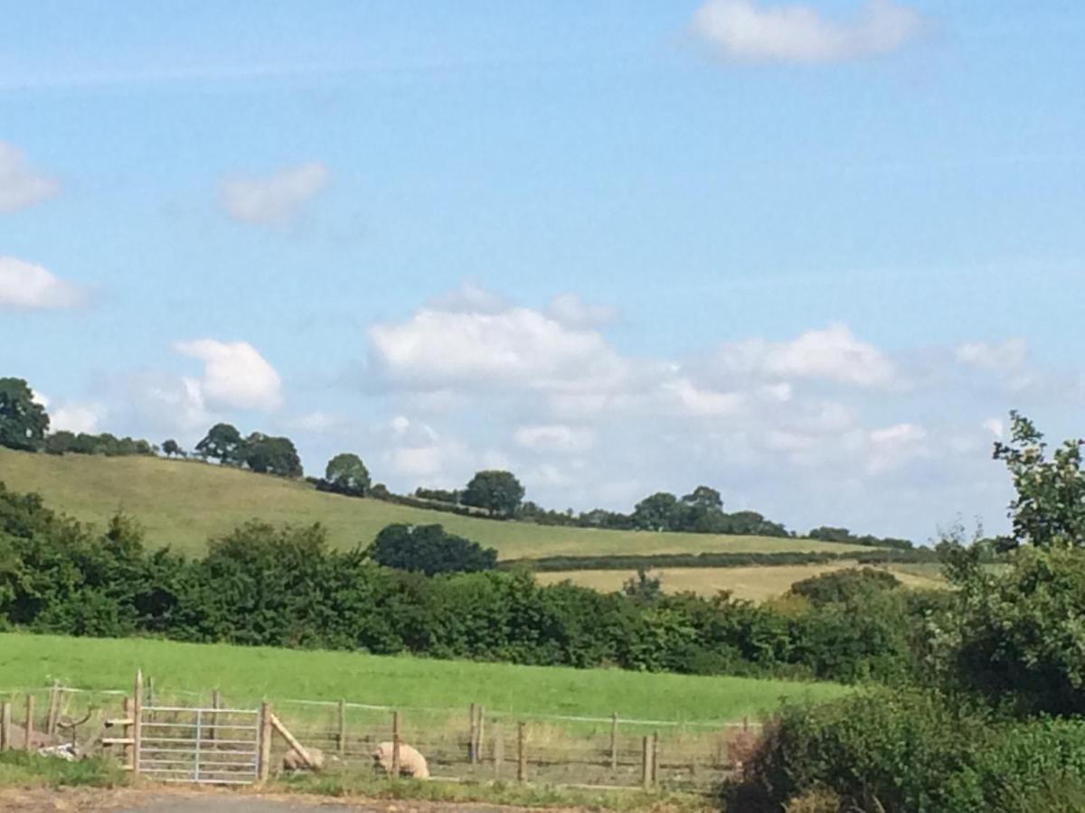 White Horse Inn Pulverbatch Shrewsbury Esterno foto